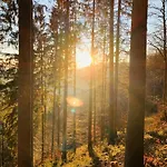 Heimatliebe Neu Διαμέρισμα Todtnau