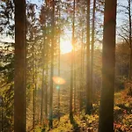 Heimatliebe Neu Todtnau