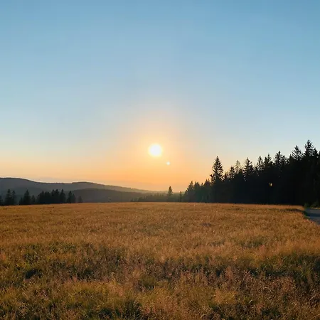 Heimatliebe Neu Todtnau