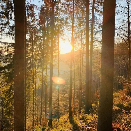Heimatliebe Neu Lägenhet Todtnau