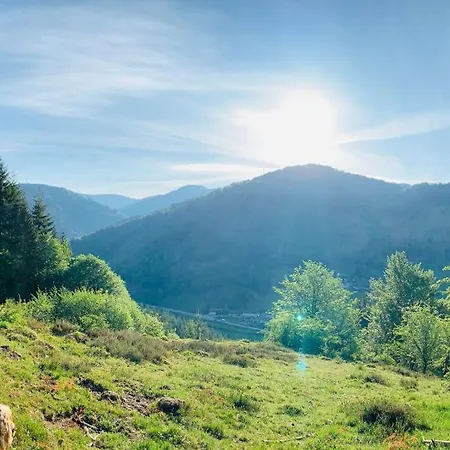 Heimatliebe Neu Todtnau