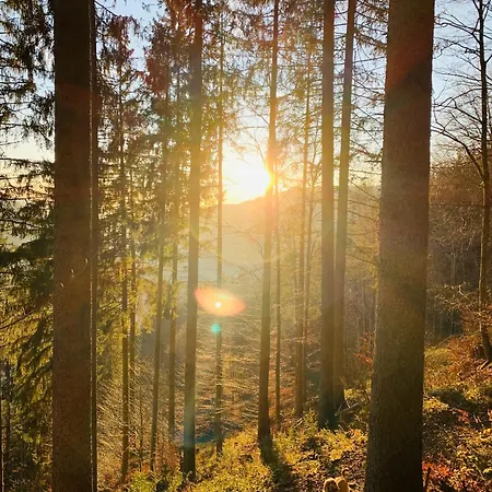 Heimatliebe Neu Todtnau